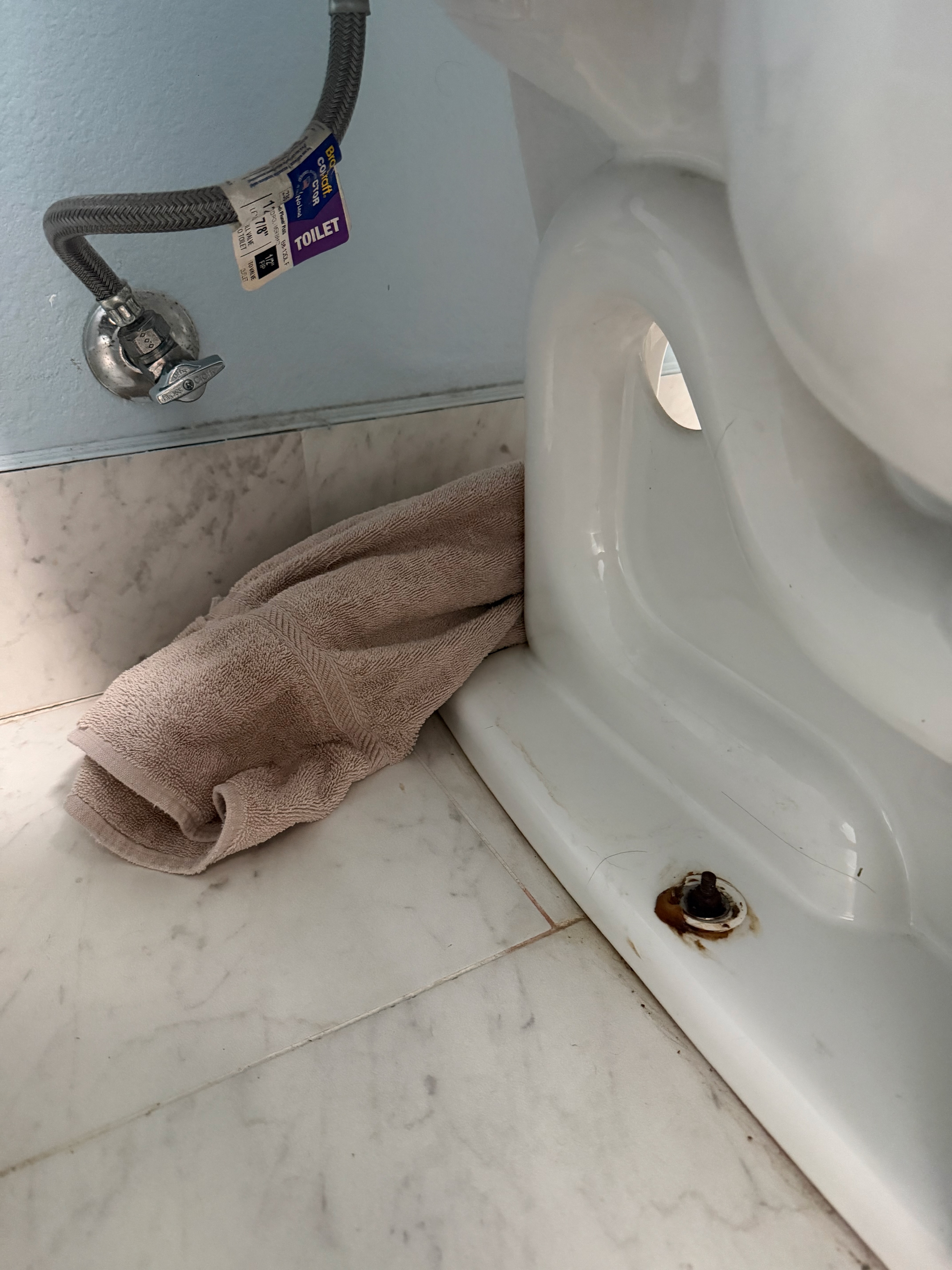 Leaky toilet — the problem before repair